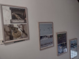 Výstava Galerie Na návsi Libošovice web8.jpg